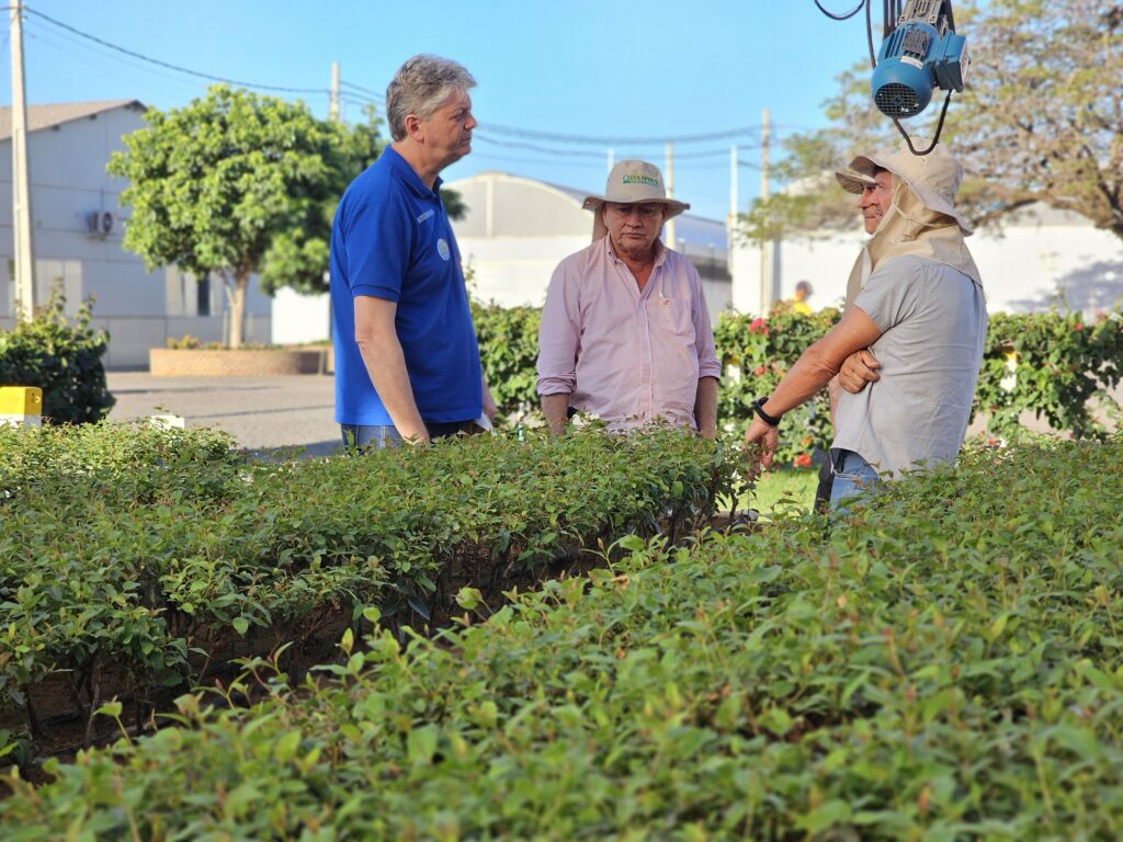 Jaime Verruck destaca base industrial e diversidade produtiva de Aparecida do Taboado