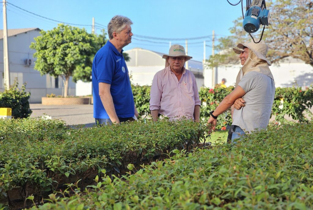 Jaime Verruck destaca base industrial e diversidade produtiva de Aparecida do Taboado